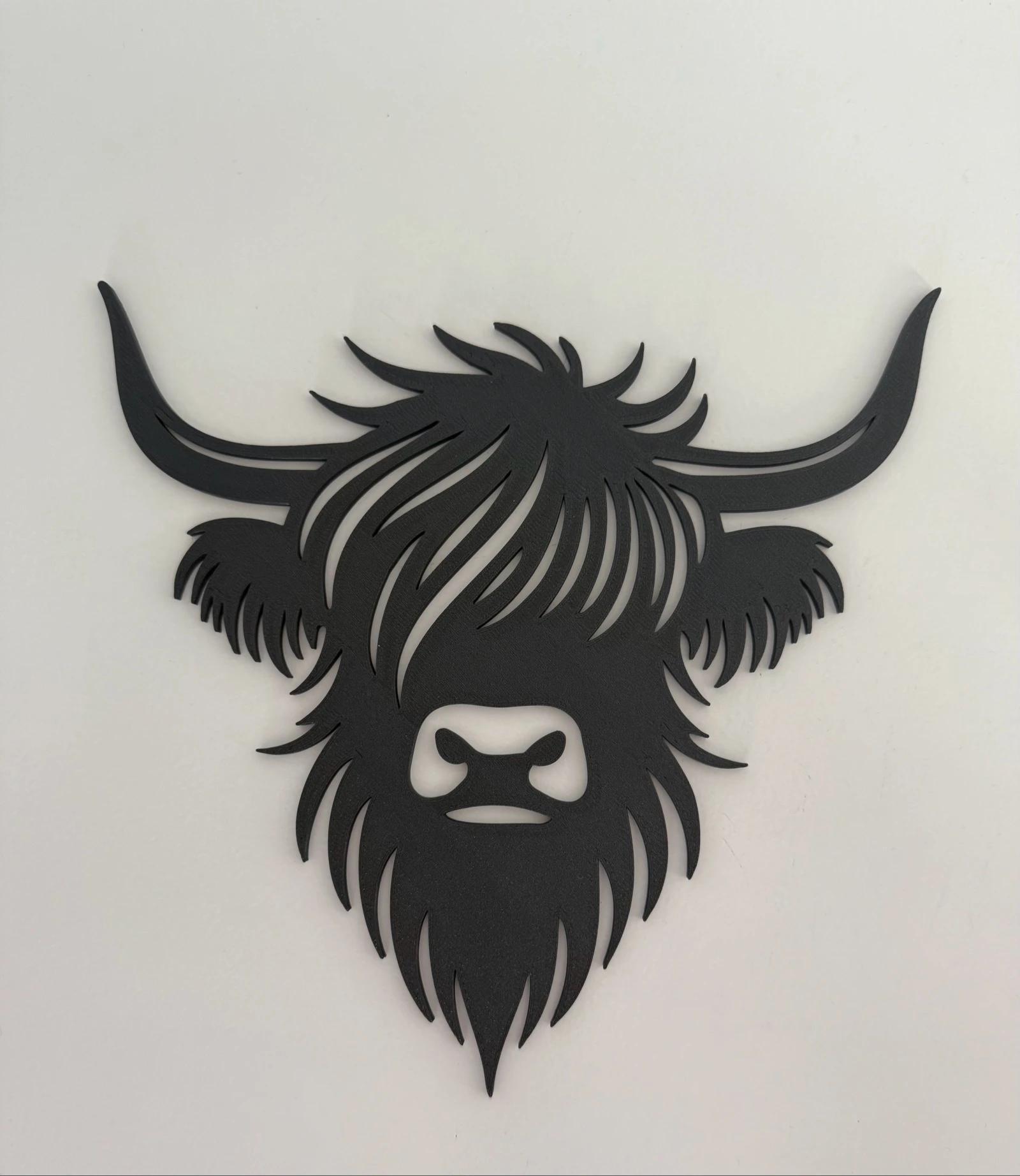 Highland Cow 